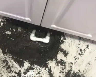信丰查漏水哪家好